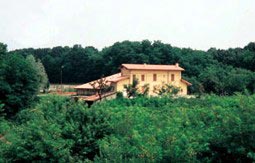 musica per matrimonio